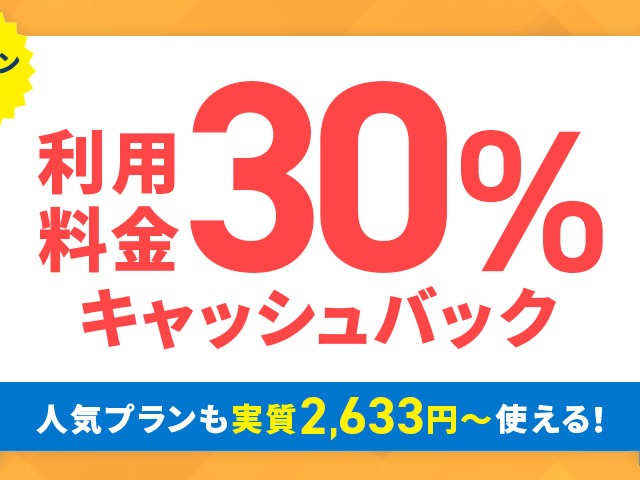 エックスサーバー、エックスサーバービジネス利用料金の30%がキャッシュバックされるキャンペーンを実施。