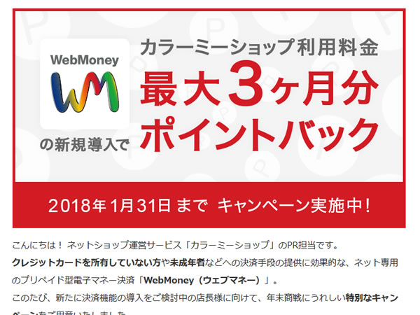 カラーミーショップ、WebMoney決済導入でラージプラン利用料金が最大3ヶ月無料となるキャンペーンを実施。